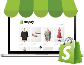 Shopify store developed