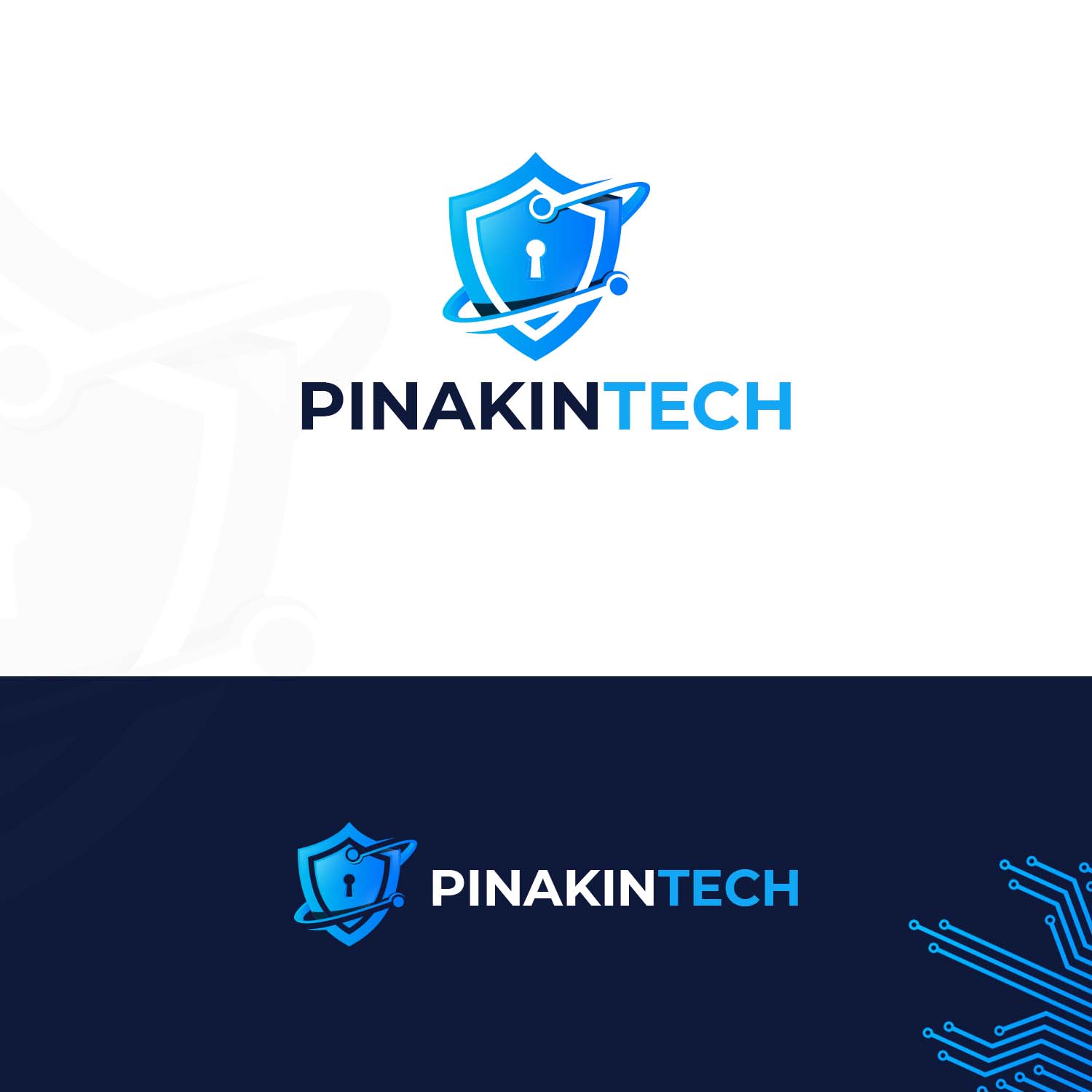 Pinakintech