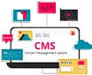 Enterprise CMS Development